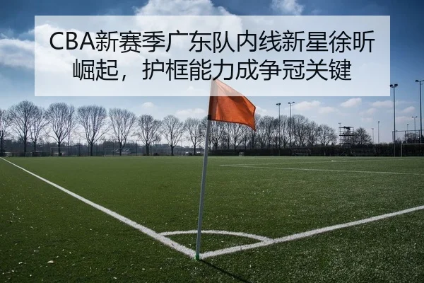 CBA新赛季广东队内线新星徐昕崛起，护框能力成争冠关键